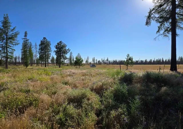 Photo 2 of Land for sale at 14xxx E Oregon Rd, Elk, WA 99009 | MLS# 202626076 | Listing updated on 2026-10-22