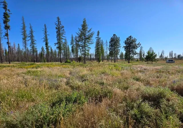 Photo 3 of Land for sale at 14xxx E Oregon Rd, Elk, WA 99009 | MLS# 202626076 | Listing updated on 2026-10-22