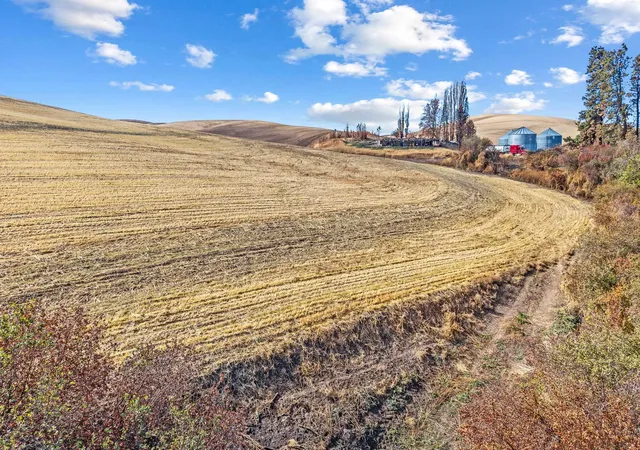 Photo 4 of Land for sale at Tbd John Fyke Rd, Malden, WA 99149 | MLS# 202626107 | Listing updated on 2026-10-23