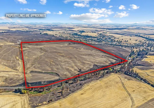 Photo 1 of Land for sale at Tbd Wells Rd, Malden, WA 99149 | MLS# 202626108 | Listing updated on 2026-10-23