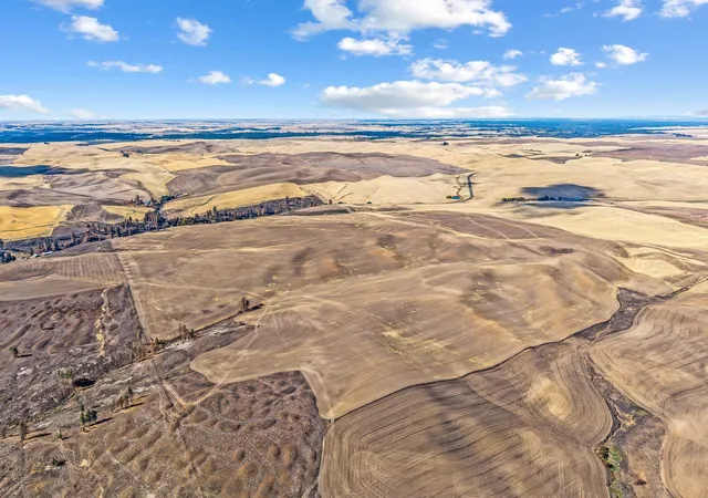 Photo 3 of Land for sale at Tbd Wells Rd, Malden, WA 99149 | MLS# 202626108 | Listing updated on 2026-10-23