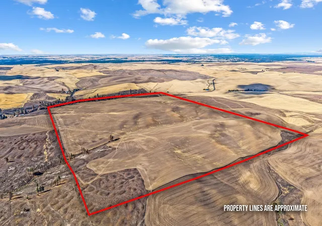 Photo 3 of Land for sale at Tbd Wells Rd, Malden, WA 99149 | MLS# 202626108 | Listing updated on 2026-10-23