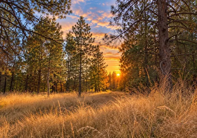 Land for sale at 000 W 34th Avenue, Spokane, WA 99224 | MLS# 202626109