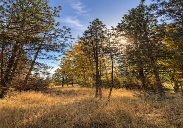 Photo 1 of Land for sale at 000 W 34th Avenue, Spokane, WA 99224 | MLS# 202626109 | Listing updated on 2026-10-23