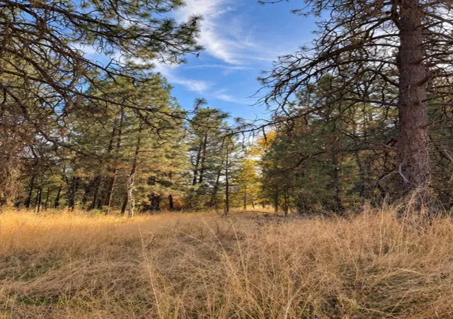 Photo 2 of Land for sale at 000 W 34th Avenue, Spokane, WA 99224 | MLS# 202626109 | Listing updated on 2026-10-23