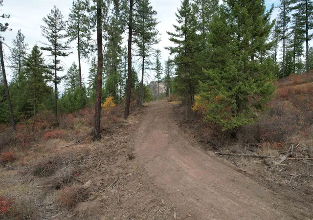 Photo 3 of Land for sale at 347x Solokar Rd, Valley, WA 99181 | MLS# 202626233 | Listing updated on 2026-10-26