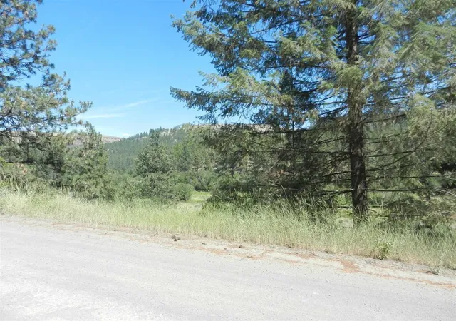 Land for sale at Tracts 126 And 127 Hawk Crk Ranch Rd N, Davenport, WA 99122 | MLS# 202626236
