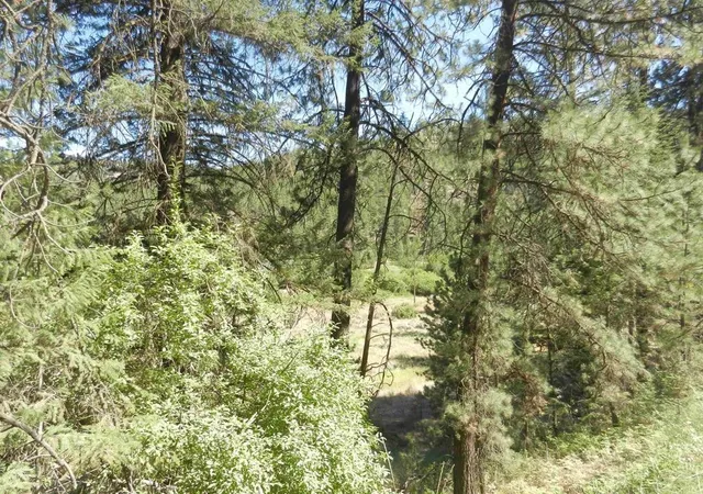 Photo 2 of Land for sale at Tracts 126 And 127 Hawk Crk Ranch Rd N, Davenport, WA 99122 | MLS# 202626236 | Listing updated on 2026-10-26