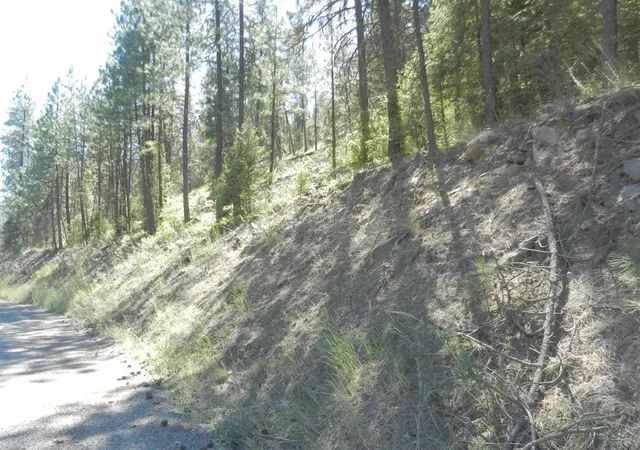 Photo 3 of Land for sale at Tracts 126 And 127 Hawk Crk Ranch Rd N, Davenport, WA 99122 | MLS# 202626236 | Listing updated on 2026-10-26