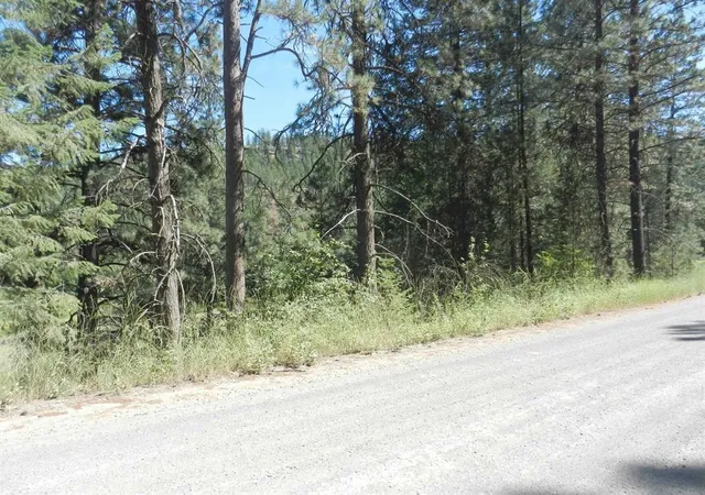 Photo 4 of Land for sale at Tracts 126 And 127 Hawk Crk Ranch Rd N, Davenport, WA 99122 | MLS# 202626236 | Listing updated on 2026-10-26
