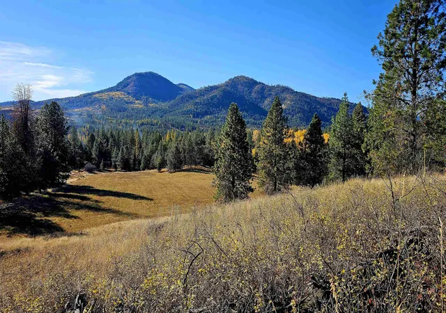 Photo 1 of Land for sale at 206x Addy Gifford Rd, Addy, WA 99101 | MLS# 202626265 | Listing updated on 2026-10-27