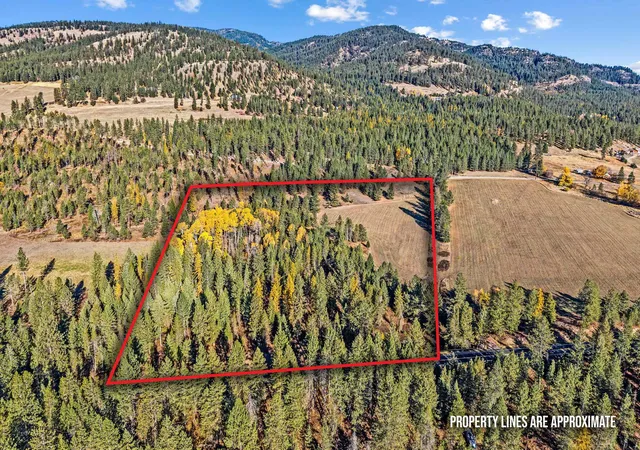 Photo 3 of Land for sale at 206x Addy Gifford Rd, Addy, WA 99101 | MLS# 202626265 | Listing updated on 2026-10-27