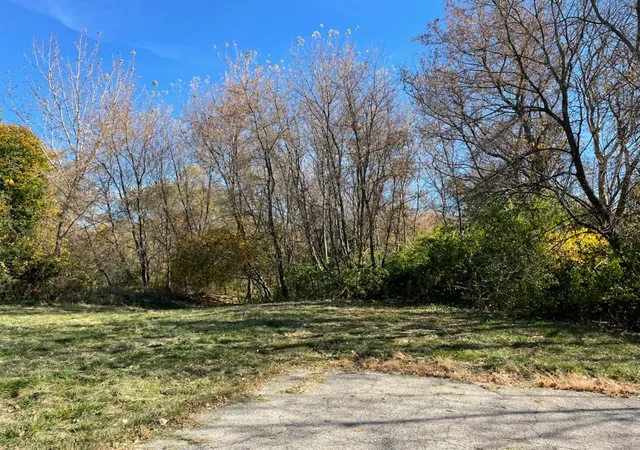 Photo 1 of Land for sale at Lot 100 South St, Elgin, IL 60124 | MLS# 12196935 | Listing updated on 2024-12-06