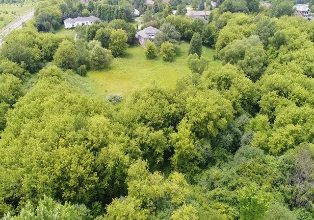Photo 3 of Land for sale at Lot 100 South St, Elgin, IL 60124 | MLS# 12196935 | Listing updated on 2024-12-06