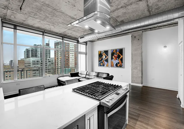 Photo 2 of Condo for sale at 50 E 16th Street #1114, Chicago, IL 60616 | MLS# 12204816 | Listing updated on 2024-12-09