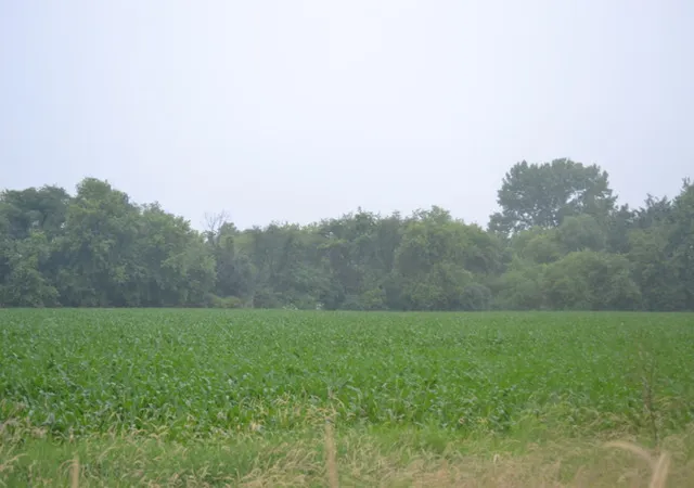 2nd image of 500 S Randall Rd, South Elgin, IL 60177 | MLS# 09264702