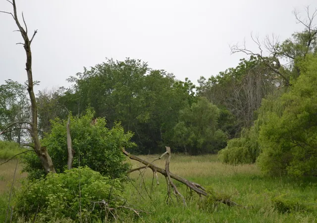 5th image of 500 S Randall Rd, South Elgin, IL 60177 | MLS# 09264702