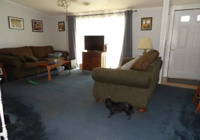 3rd image of 1117 Cannon Ln, Harrisburg, IL 62946 | MLS# 100539027