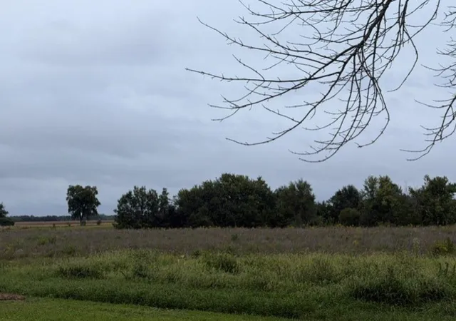 Photo 2 of Land for sale at 220 N Broad St, Loraine, IL 62349 | MLS# 100539138 | Listing updated on 2026-09-22