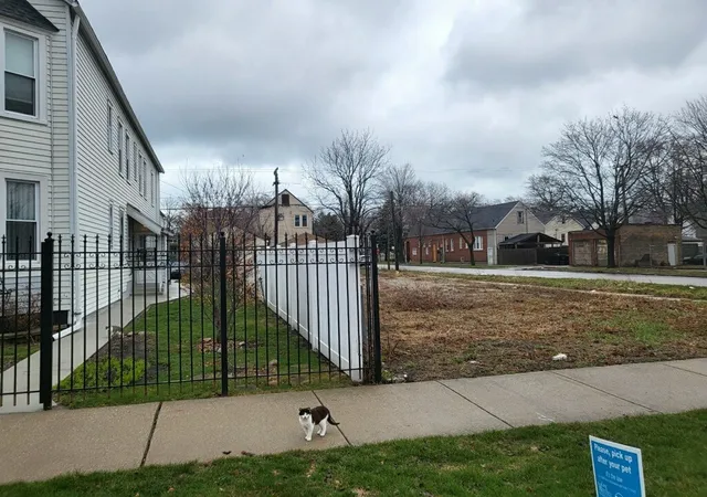 2nd image of 8459 S Manistee Ave, Chicago, IL 60617 | MLS# 11362573