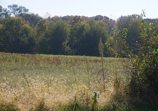 3rd image of Sec8 W Eames St, Channahon, IL 60410 | MLS# 11732118