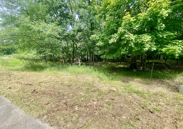 6th image of Lot 55 Eagle Chase Dr, Seneca, IL 61360 | MLS# 11868905