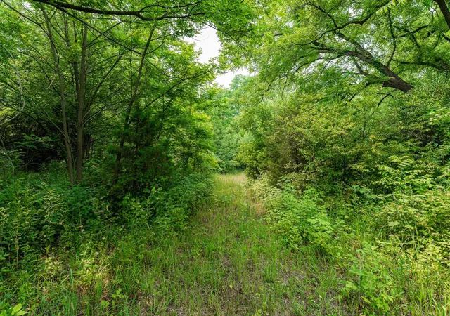 3rd image of 5N024 Route 31, St. Charles, IL 60175 | MLS# 11871063