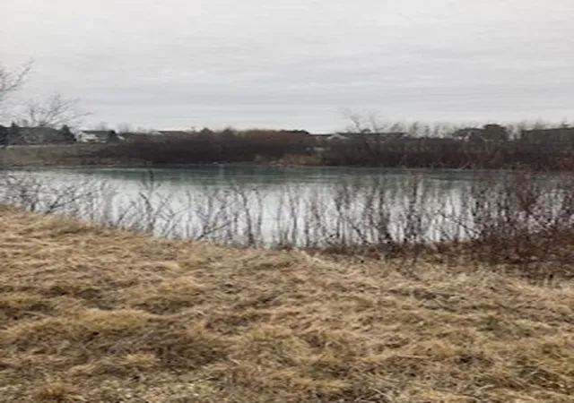 9th image of 254 Ruth Rd, Huntley, IL 60142 | MLS# 12037191