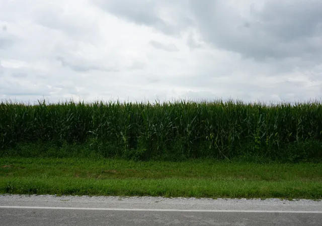 3rd image of 7500 N Rt 50, Manteno, IL 60950 | MLS# 12136171