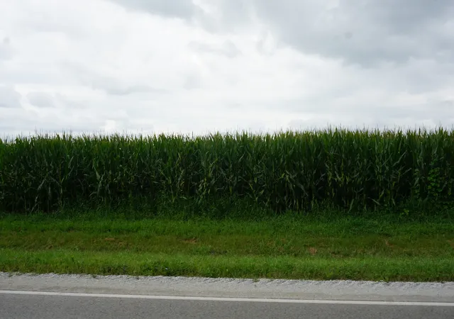 4th image of 7500 N Rt 50, Manteno, IL 60950 | MLS# 12136171