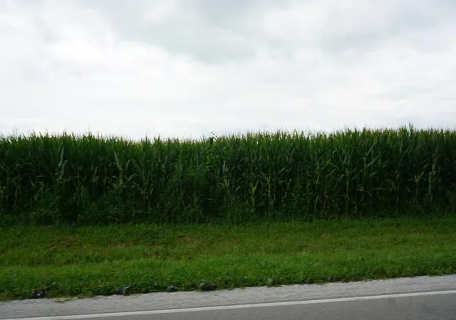 5th image of 7500 N Rt 50, Manteno, IL 60950 | MLS# 12136171