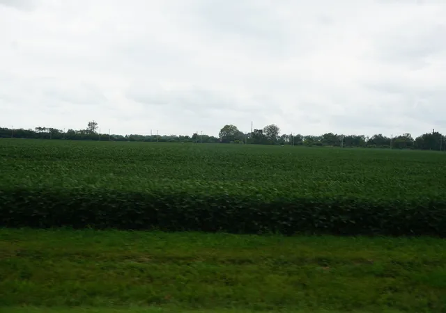 9th image of 7500 N Rt 50, Manteno, IL 60950 | MLS# 12136171