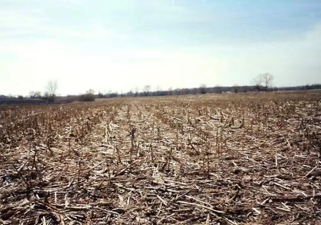 Photo 1 of Land for sale at 31w255 Roosevelt Rd, West Chicago, IL 60185 | MLS# 12203917 | Listing updated on 2026-09-01