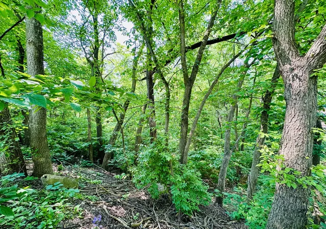 3rd image of 309 Peru St, Peru, IL 61354 | MLS# 12380684