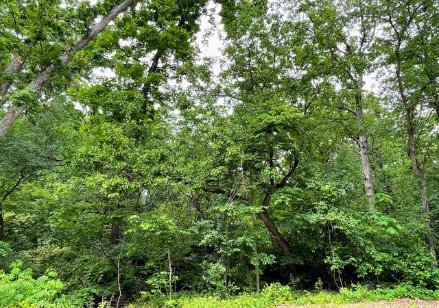 2nd image of 7408 Forest Oak Dr, Mc Henry, IL 60050 | MLS# 12385930