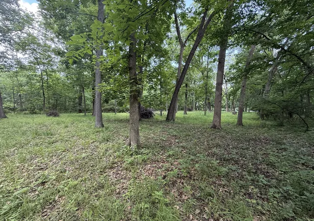 2nd image of Lot 235 Lake Thunderbird Dr, Tiskilwa, IL 61368 | MLS# 12395514