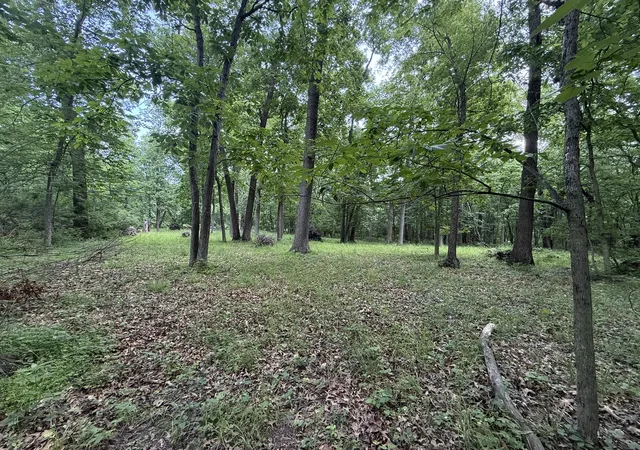 3rd image of Lot 235 Lake Thunderbird Dr, Tiskilwa, IL 61368 | MLS# 12395514