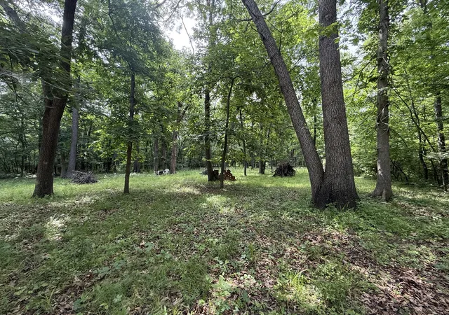 4th image of Lot 235 Lake Thunderbird Dr, Tiskilwa, IL 61368 | MLS# 12395514