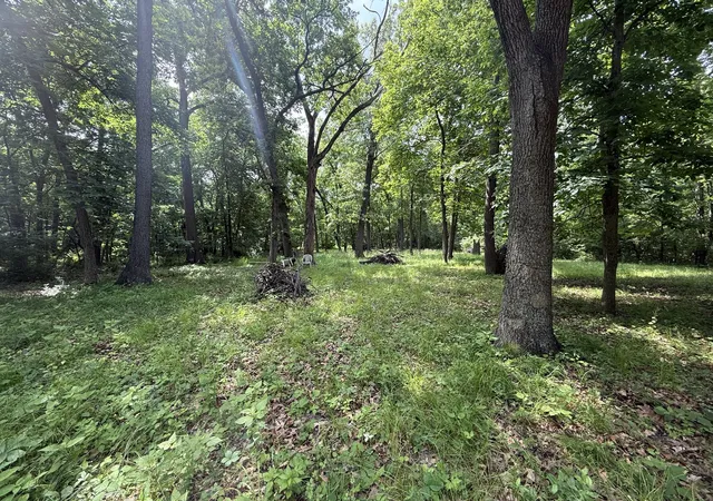 5th image of Lot 235 Lake Thunderbird Dr, Tiskilwa, IL 61368 | MLS# 12395514