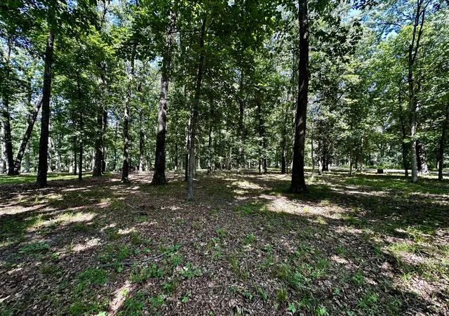Photo 4 of Land for sale at 220 Beyers Lake Est, Pana, IL 62557 | MLS# 12405971 | Listing updated on 2026-08-09