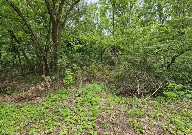 6th image of 41w329 Prairie View Ln, Elburn, IL 60119 | MLS# 12409891