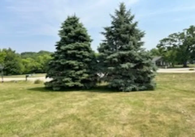 Photo 4 of Land for sale at 704 Russell Ct, Heyworth, IL 61745 | MLS# 12410760 | Listing updated on 2026-08-06