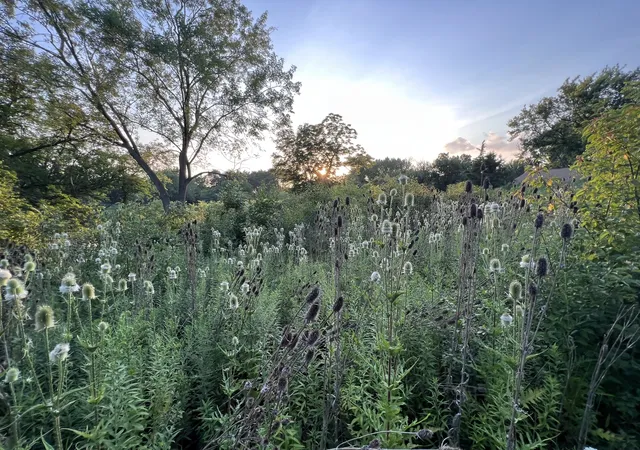 Photo 2 of Land for sale at 650 George St, Barrington, IL 60010 | MLS# 12415728 | Listing updated on 2026-10-09