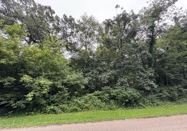 Photo 1 of Land for sale at 906 Monongahela Dr, Dixon, IL 61021 | MLS# 12425451 | Listing updated on 2026-08-03