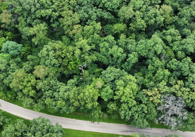 Photo 3 of Land for sale at 906 Monongahela Dr, Dixon, IL 61021 | MLS# 12425451 | Listing updated on 2026-08-03