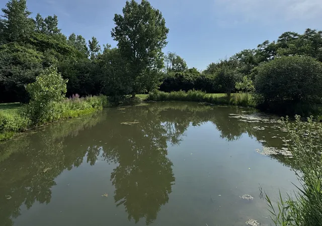 Photo 33 of Single family home for sale at 16w122 91st Street, Burr Ridge, IL 60527 | MLS# 12427962 | Listing updated on 2026-09-07