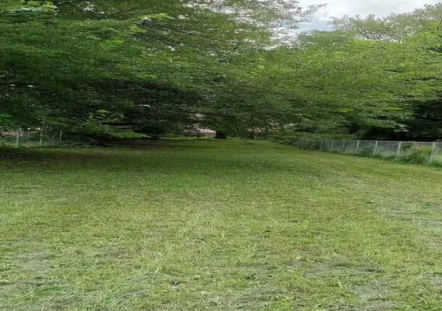 Photo 1 of Land for sale at 6036 S Wallace St, Chicago, IL 60621 | MLS# 12460055 | Listing updated on 2026-06-19