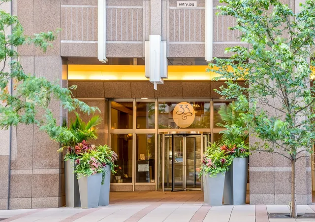 Homes for sale in Chicago, IL | 33 W Ontario St #47E, Chicago, IL 60654 | MLS# 12462633