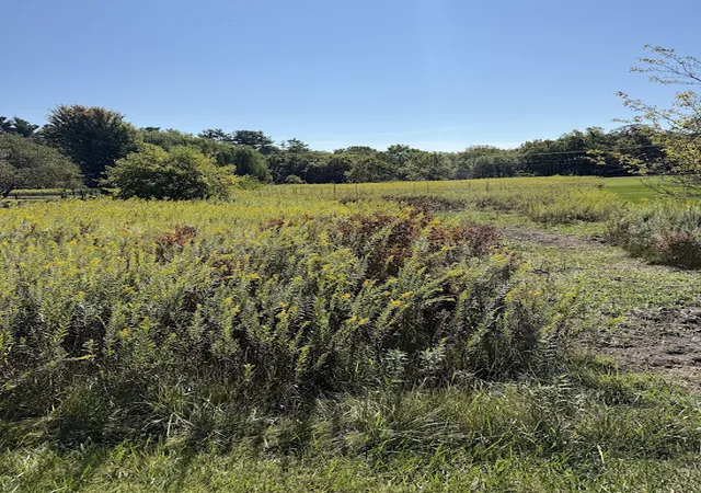 Photo 2 of Land at 43w321 Creekside Ct, Saint Charles, IL 60175 | MLS# 12478664 | | Sold on 2025-12-16