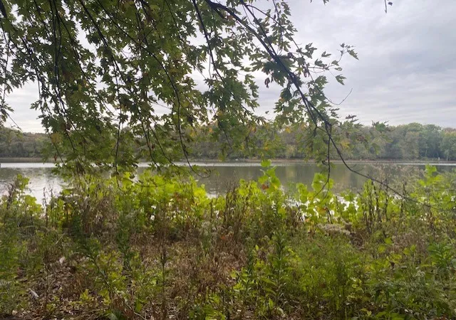 5th image of 1994 N 2753Rd Rd, Ottawa, IL 61350 | MLS# 12494739
